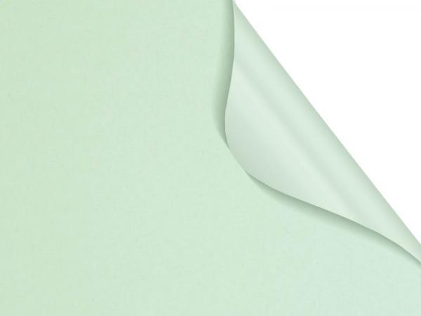 Madagaskar 055 (zatemňujúca) - bledo zelená