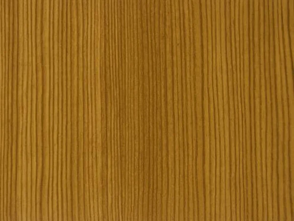 23 - Borovica horská